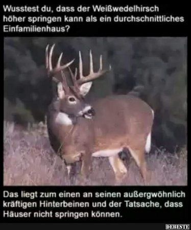 dc4d43e9b5fe594d79c18c42ba66e51e1486.jpg