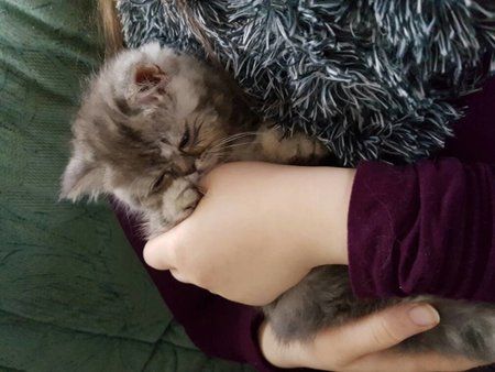 20161126_140646.jpg