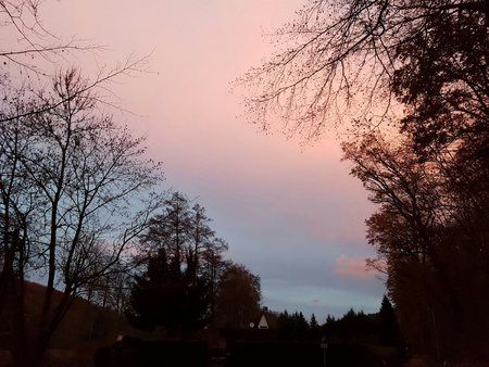 IMG-20161118-WA0005.jpg
