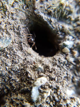 20160706_124521.jpg