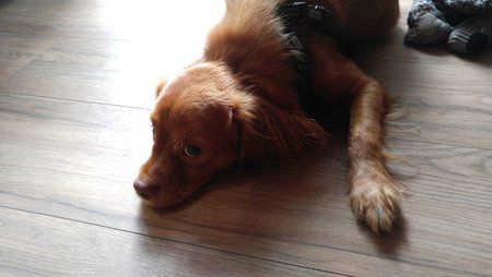 20161118_135308.jpg