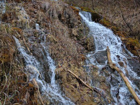 IMG_20161127_125019.jpg