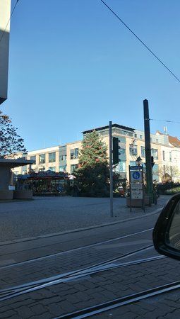 Mate 2.jpg