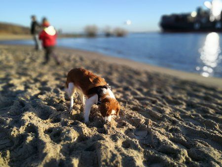 IMG_20161127_150819_1.jpg