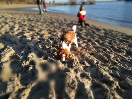 IMG_20161127_150811_1.jpg