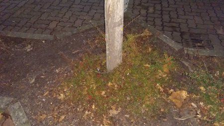 IMG_20161203_205642.jpg