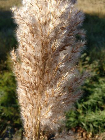 IMG_20161203_123652.jpg