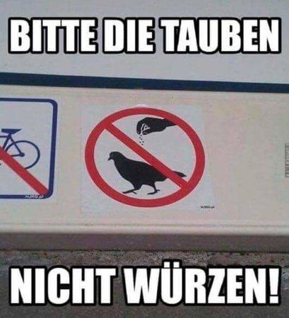 FB_IMG_1481140838991.jpg
