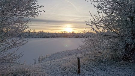 DSC_0116.JPG