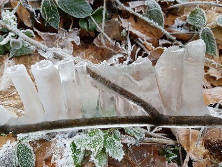 IMG-20161209-WA0012-01.jpeg