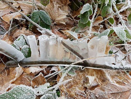 IMG-20161209-WA0014-01.jpeg
