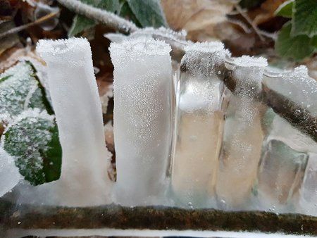 IMG-20161209-WA0015-01.jpeg