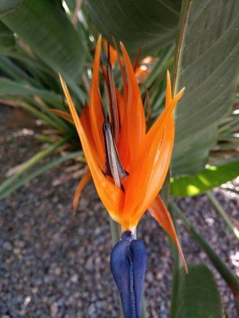 IMG_20161212_112120.jpg