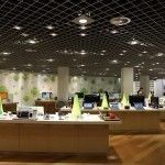 androidland-3-150x150.jpg