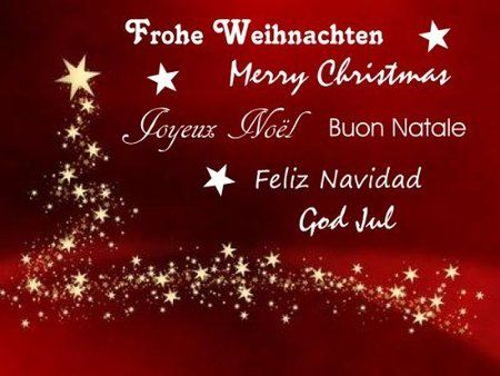 schöne weihnachten.jpg