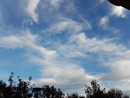IMG_20160929_181734.jpg