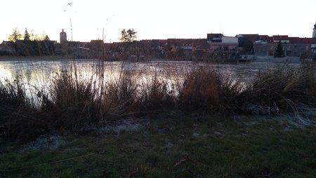 IMG_20161230_161846.jpg