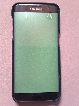 20161231_101342.jpg