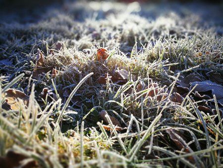 2016-12-29 10.46.33.jpg