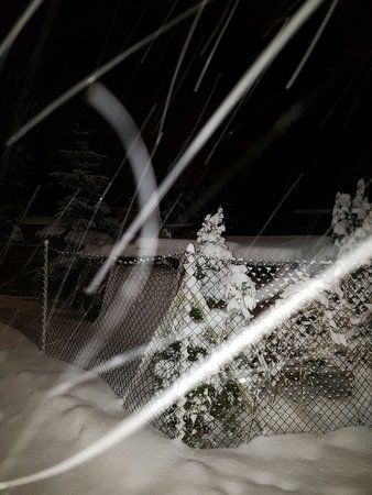 IMG-20170105-WA0002-01.jpeg