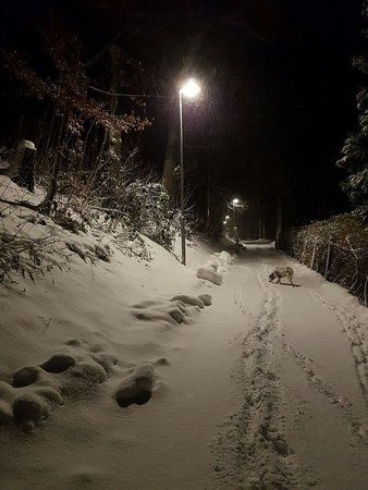 IMG-20170105-WA0000-01.jpeg