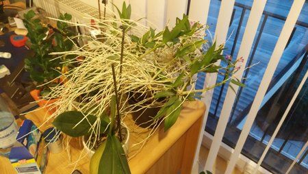 IMG_20170105_170609.jpg