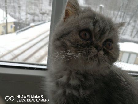 IMG-20170108-WA0019.jpg