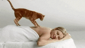 ezgif.com-e90347d27b.gif
