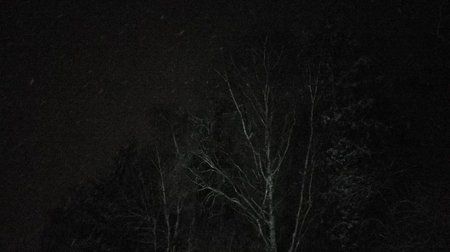 IMG_20170111_190107.jpg IMG_20170111_190107.jpg