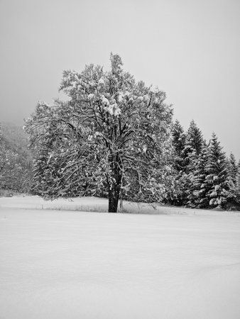 IMG_20170108_155019-01.jpeg