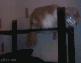 ezgif-357841080.gif