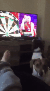 ezgif.com-648e0be352.gif