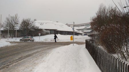 IMG_20170113_133139.jpg