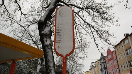 IMG_20170113_145134.jpg
