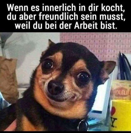 FB_IMG_1484327405751.jpg