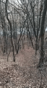 ezgif.com-e0f289f06d.gif