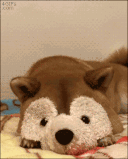 ezgif.com-7878a78f4e.gif