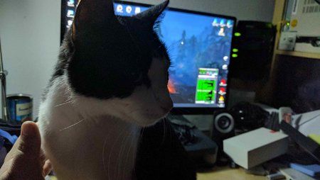Chico - HUAWEI Nexus 6P Google Camera ohne Blitz 2.jpg
