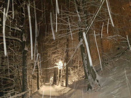 IMG-20170116-WA0004-01.jpeg