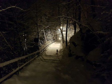 IMG-20170116-WA0009-01.jpeg