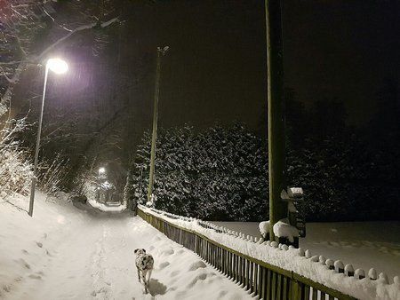 IMG-20170116-WA0012-01.jpeg