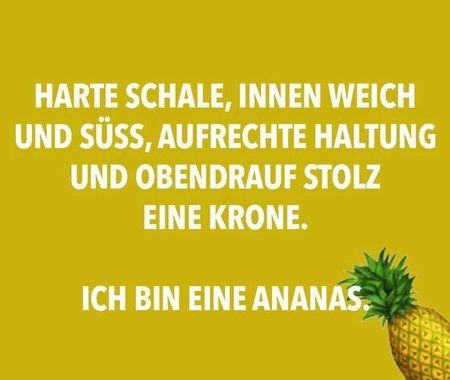 _20170119_202924.JPG