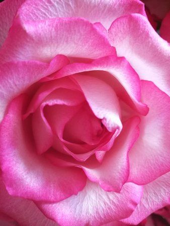 IMG-20170124-WA0000-01.jpeg
