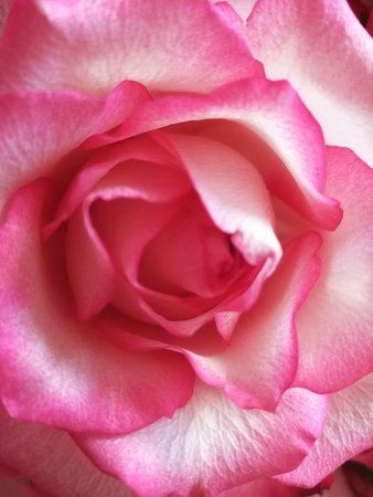 IMG-20170124-WA0002-01.jpeg