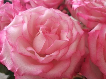 IMG-20170124-WA0007-01.jpeg