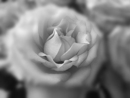 IMG-20170124-WA0009-01.jpeg