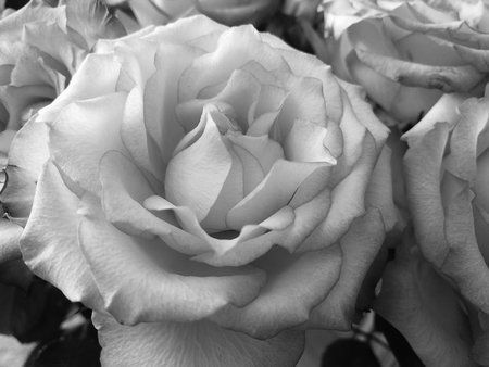IMG-20170124-WA0011-01.jpeg