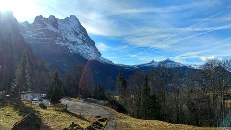 IMG_20161127_133528799_HDR.jpg