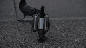 ezgif.com-11056bedf1.gif
