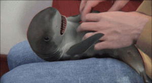 ezgif.com-b058662c99.gif